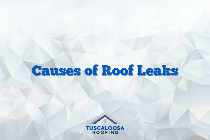 Causes of Roof Leaks