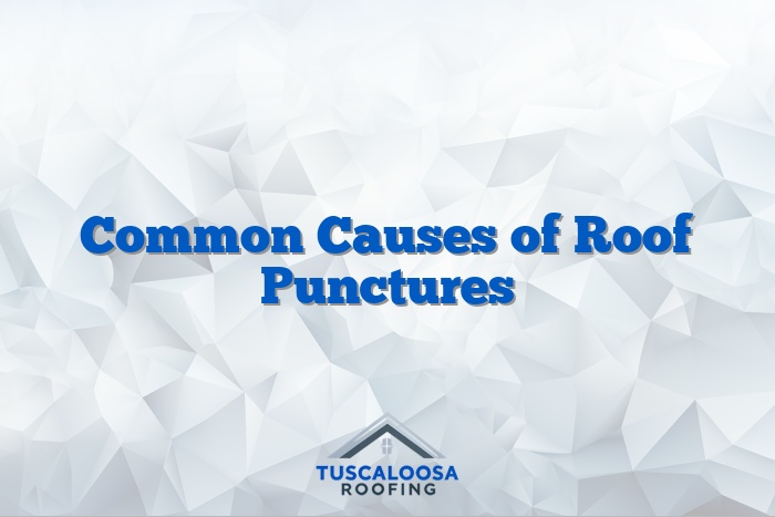 Common Causes of Roof Punctures