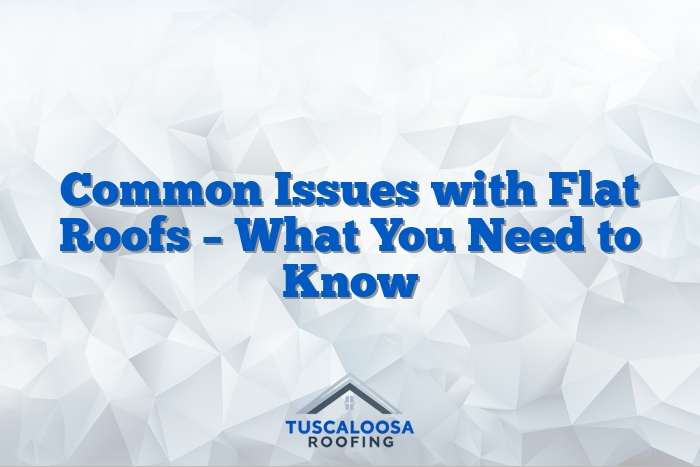 Common Issues with Flat Roofs – What You Need to Know