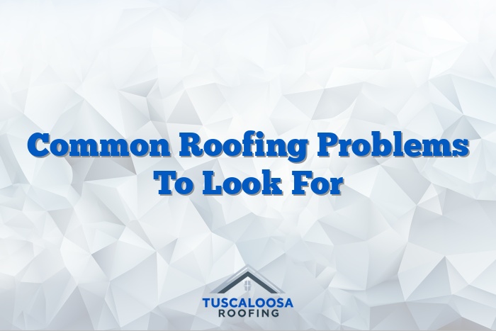 Common Roofing Problems To Look For