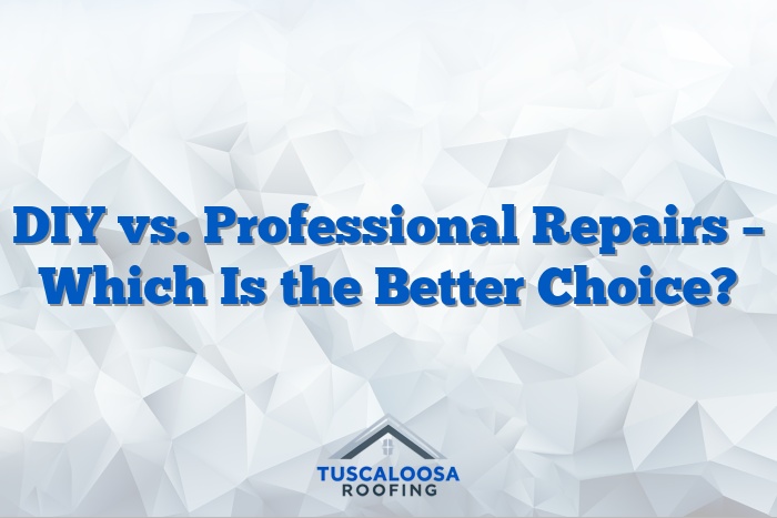 DIY vs. Professional Repairs – Which Is the Better Choice?