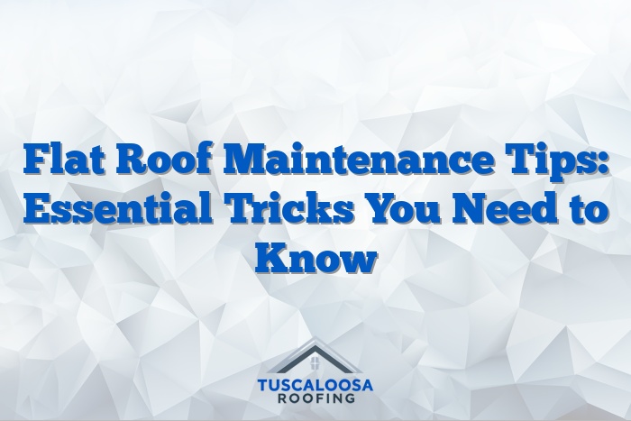 Flat Roof Maintenance Tips: Essential Tricks You Need to Know