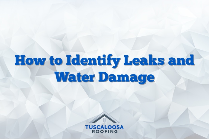 How to Identify Leaks and Water Damage