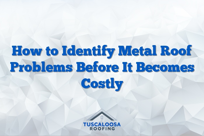 How to Identify Metal Roof Problems Before It Becomes Costly