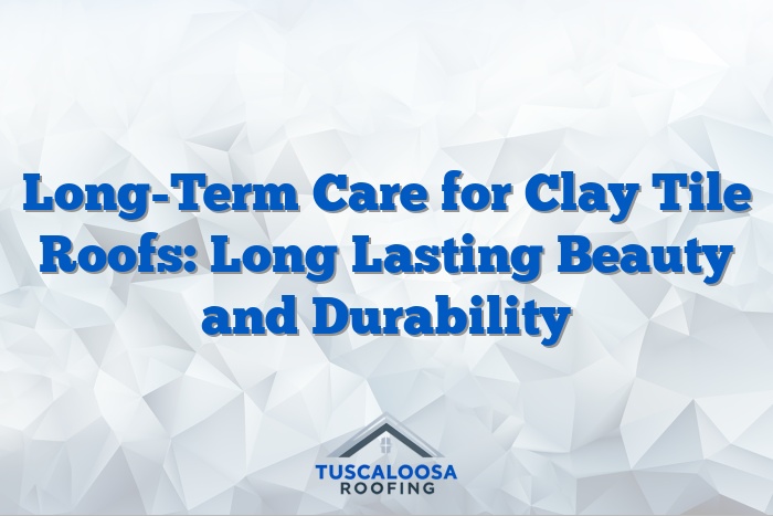 Long-Term Care for Clay Tile Roofs: Long Lasting Beauty and Durability