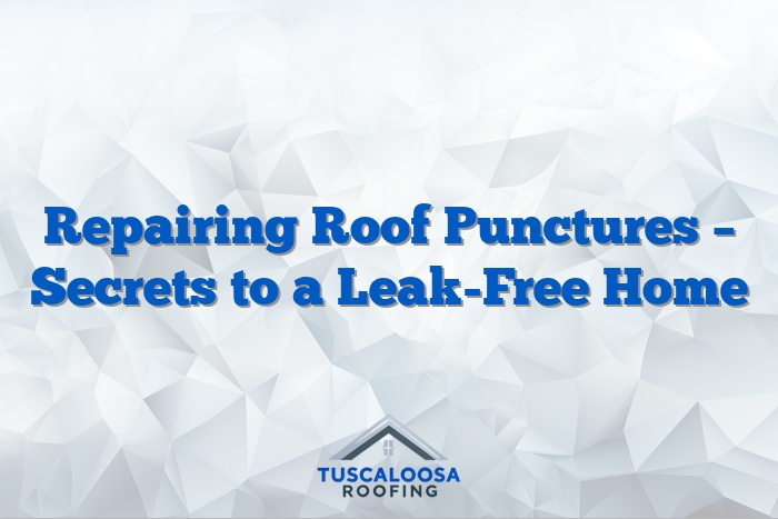 Repairing Roof Punctures – Secrets to a Leak-Free Home