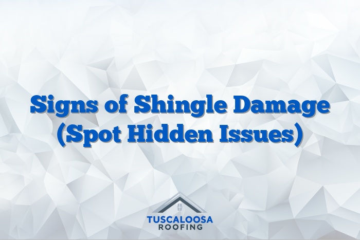 Signs of Shingle Damage (Spot Hidden Issues)