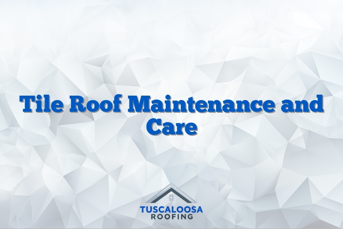 Tile Roof Maintenance and Care